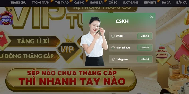 Liên hệ qua live chat là hình thức được ưa chuộng